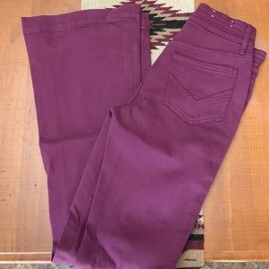 Womens Idyllwind Flares size 4 NWOT